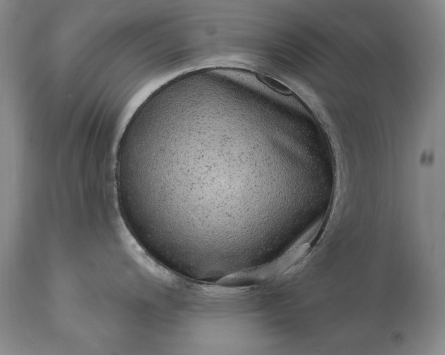 X0000113631200200910021844