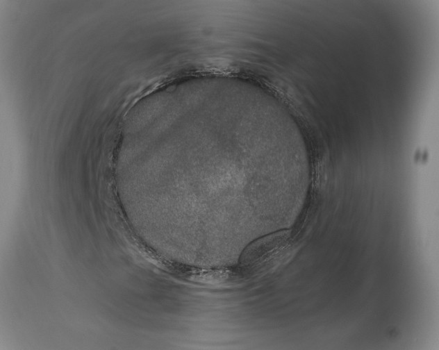 X0000113631201200910021844