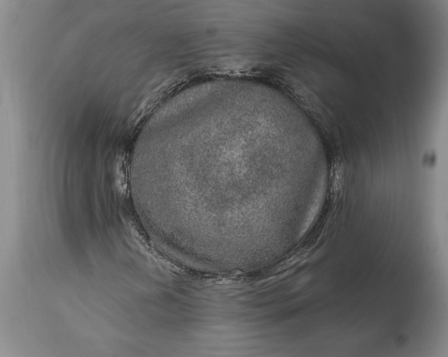 X0000113631202200910021844