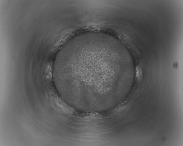 X0000113631203200910021844