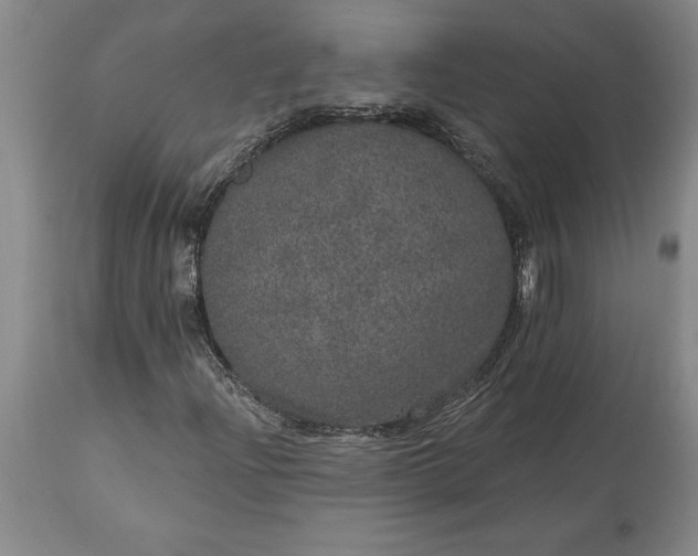 X0000113631204200910021844