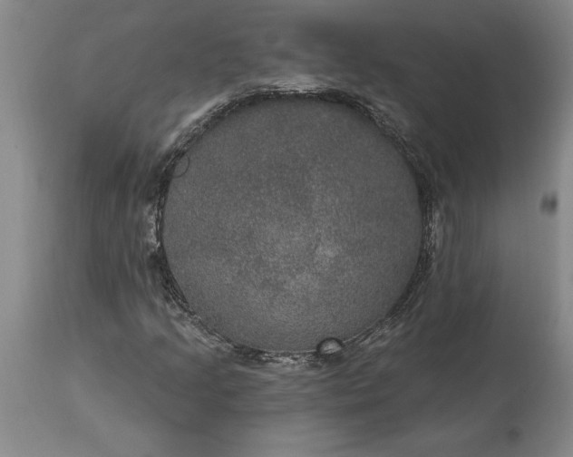 X0000113631205200910021844