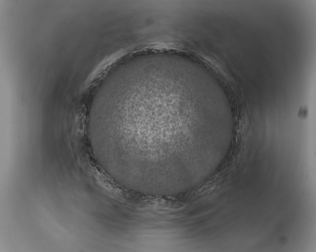 X0000113631207200910021844