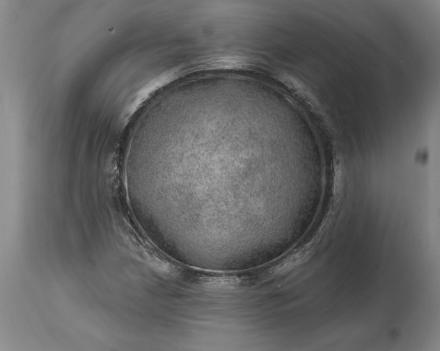 X0000113631210200910021844