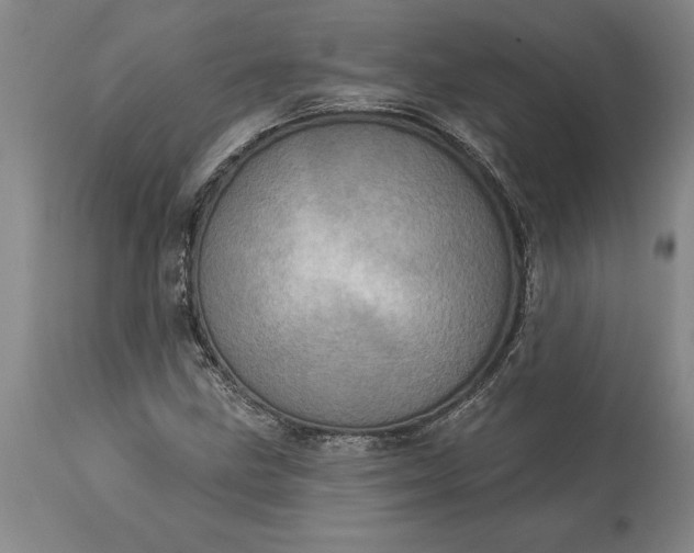 X0000113631211200910021844
