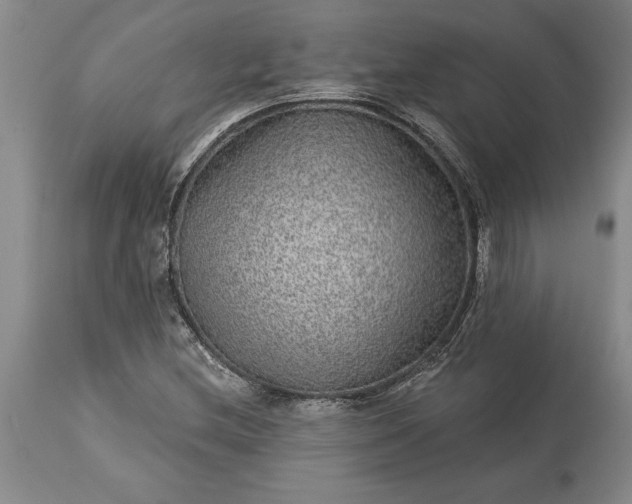 X0000113631212200910021844