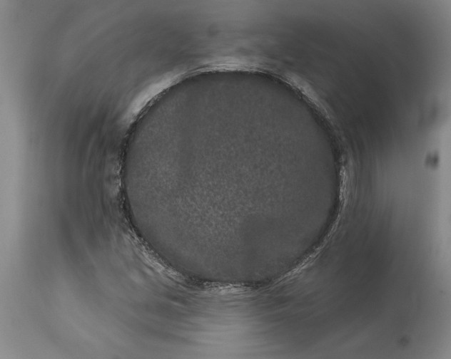 X0000113631213200910021844