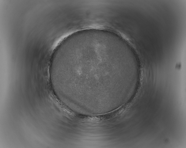 X0000113631214200910021844