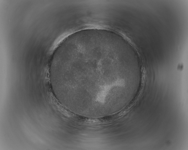 X0000113631215200910021844