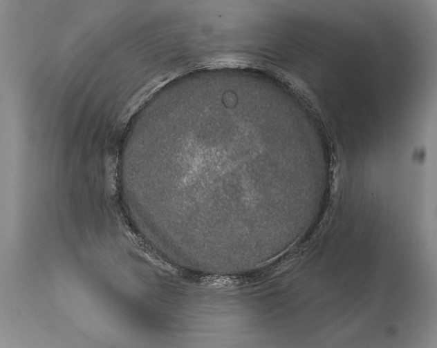 X0000113631217200910021844