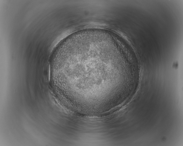 X0000113631219200910021844