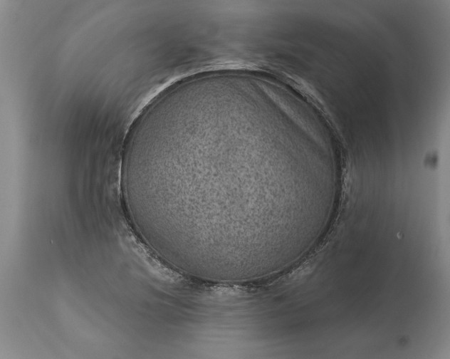 X0000113631220200910021844