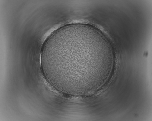 X0000113631221200910021844