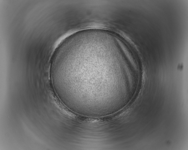 X0000113631222200910021844