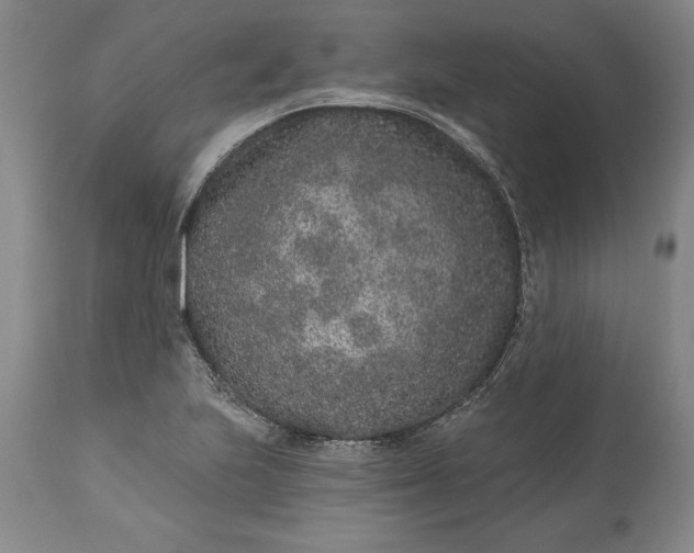 X0000113631223200910021844