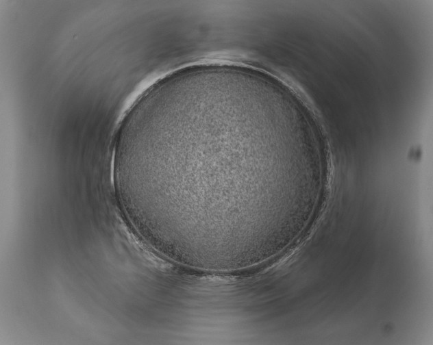 X0000113631224200910021844