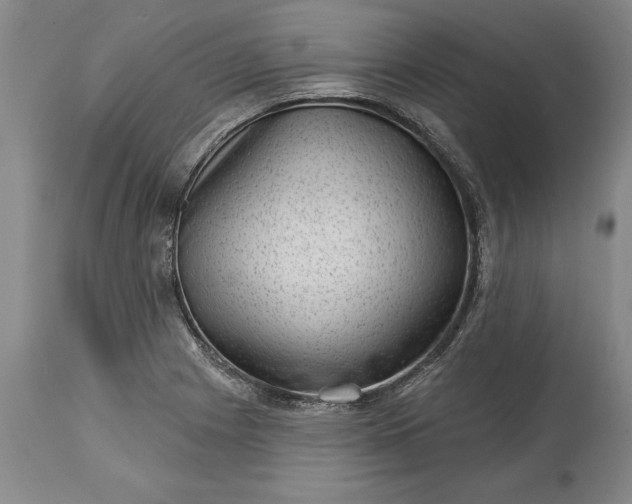 X0000113631225200910021844