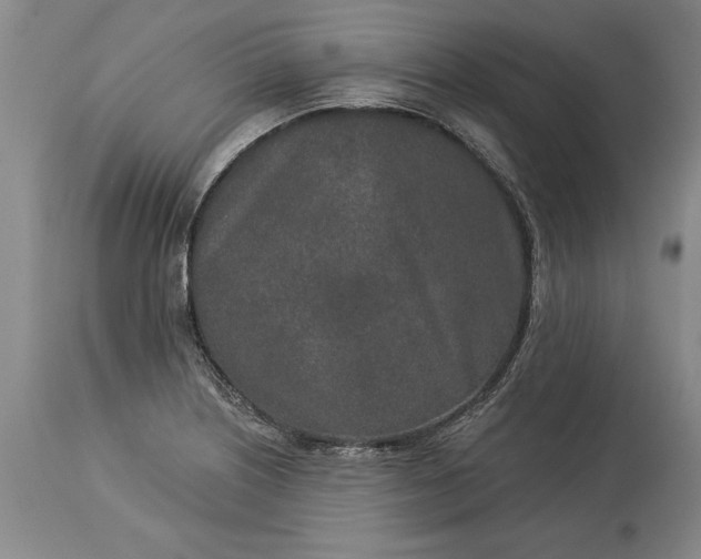 X0000113631226200910021844