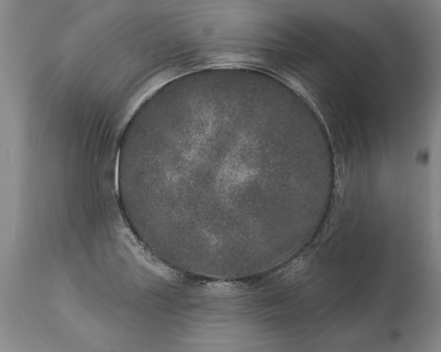 X0000113631227200910021844