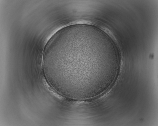 X0000113631228200910021844