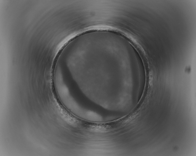X0000113631229200910021844