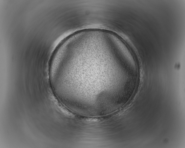 X0000113631230200910021844