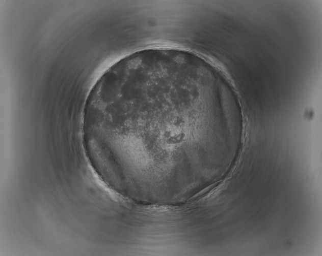 X0000113631231200910021844