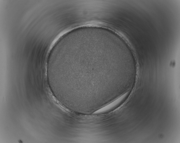 X0000113631232200910021844