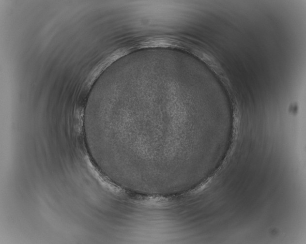 X0000113631233200910021844
