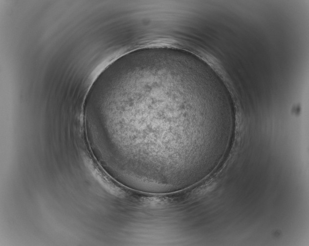 X0000113631234200910021844