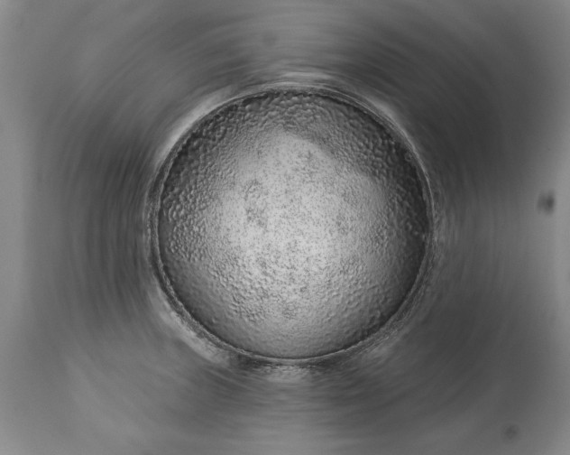 X0000113631235200910021844