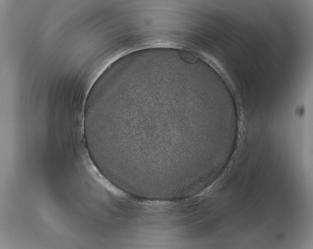 X0000113631236200910021844