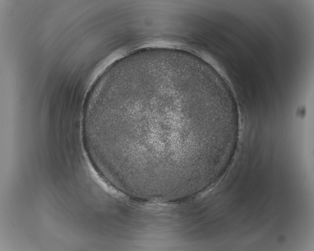 X0000113631237200910021844