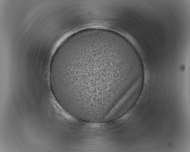 X0000113631240200910021844