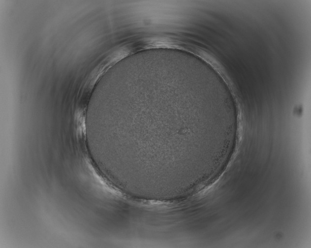 X0000113631241200910021844