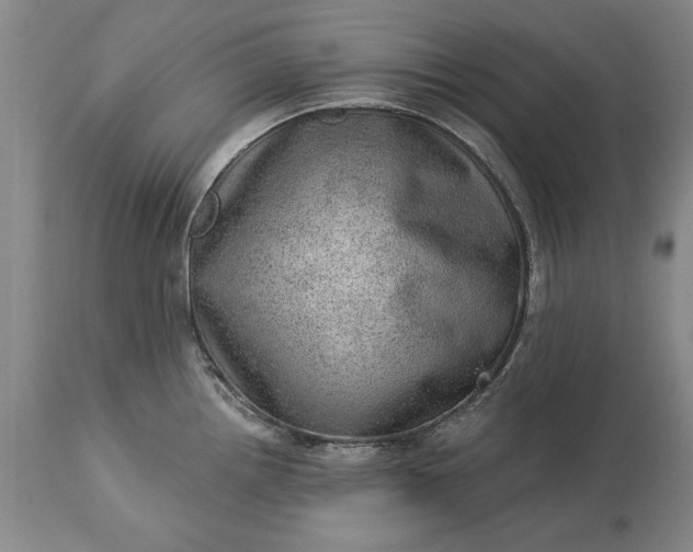 X0000113631242200910021844