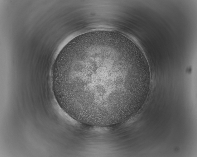 X0000113631243200910021844