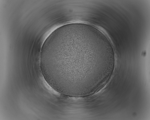 X0000113631244200910021844