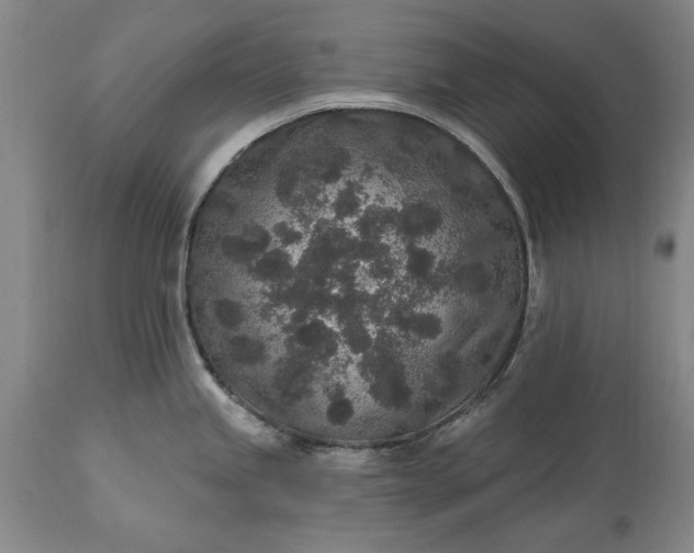 X0000113631245200910021844