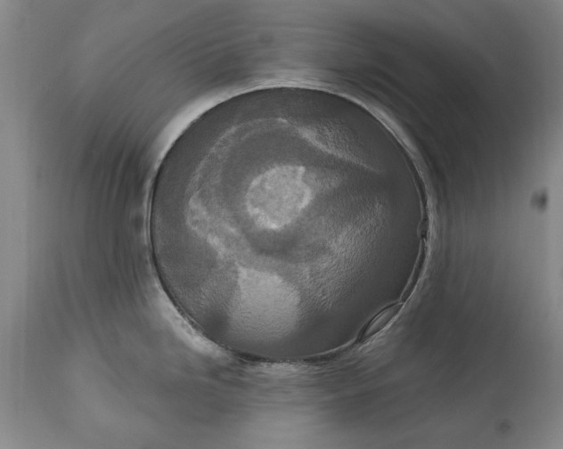 X0000113631246200910021844