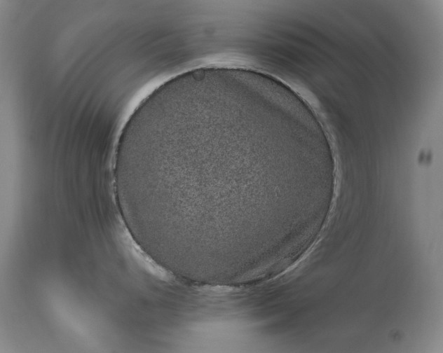 X0000113631248200910021844