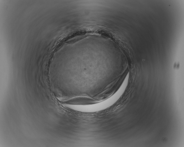 X0000113631249200910021844