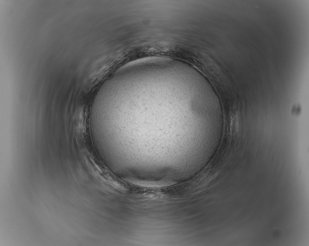 X0000113631250200910021844