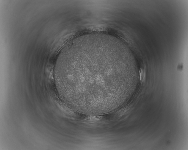 X0000113631251200910021844