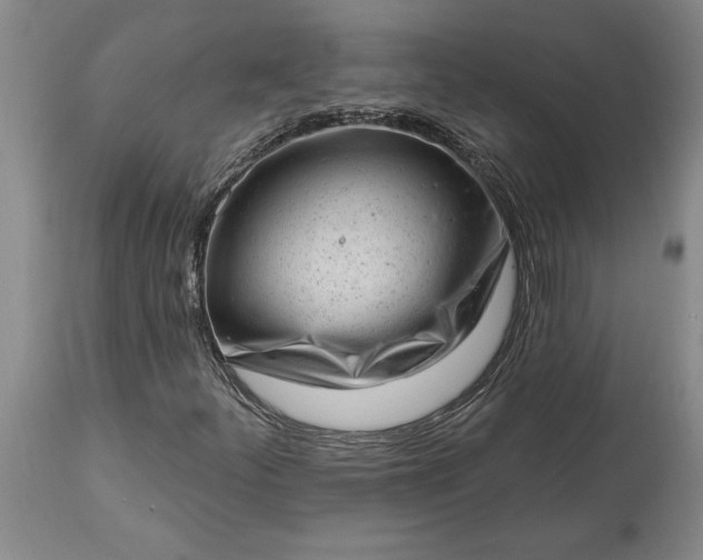 X0000113631252200910021844