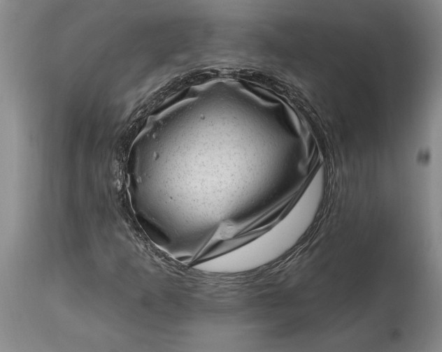 X0000113631253200910021844