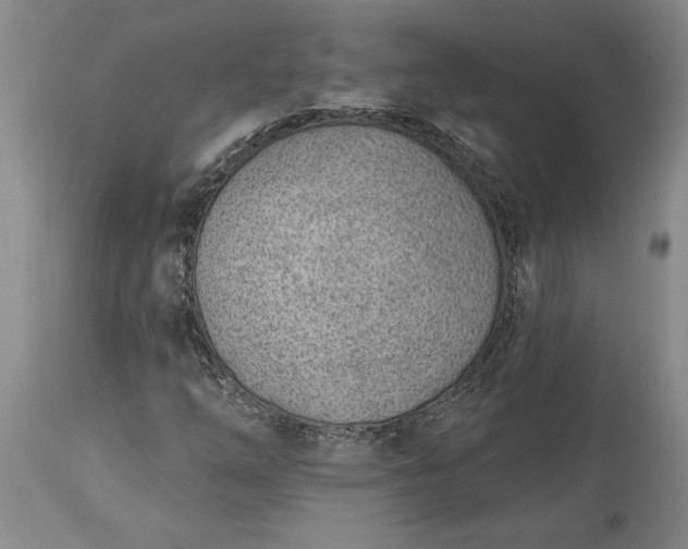 X0000113631254200910021844