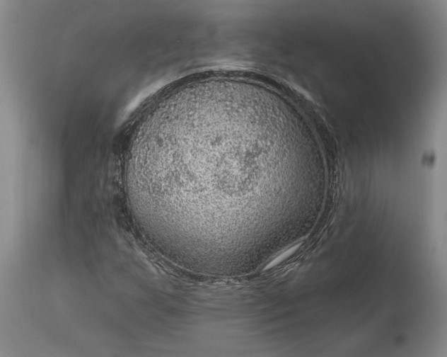 X0000113631255200910021844
