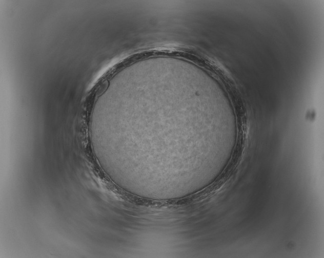 X0000113631256200910021844