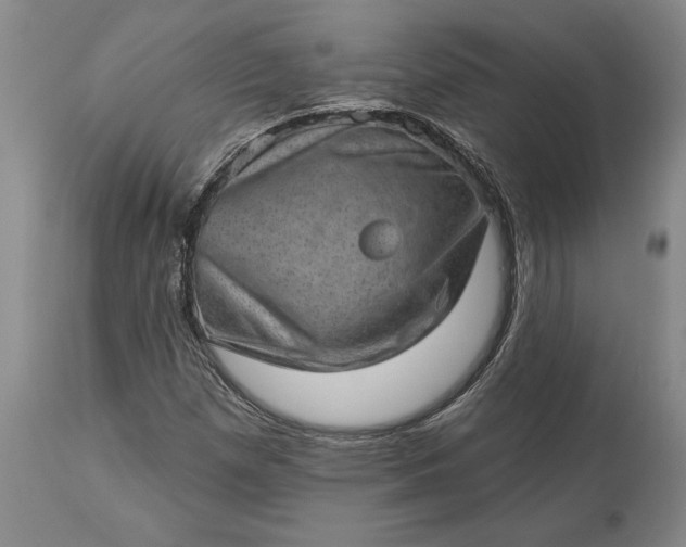 X0000113631257200910021844